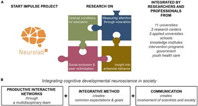 Integrating Cognitive Developmental Neuroscience in Society: Lessons Learned From a Multidisciplinary Research Project on Education and Social Safety of Youth